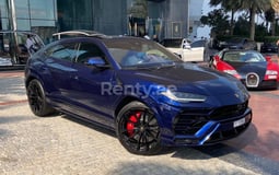 Blu Lamborghini Urus in affitto a Sharjah