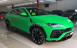 Grün Lamborghini Urus zur Miete in Sharjah