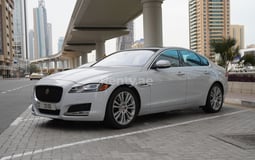 White Jaguar XF for rent in Dubai
