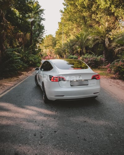 Blanc Tesla Model 3 en location à Abu-Dhabi 1