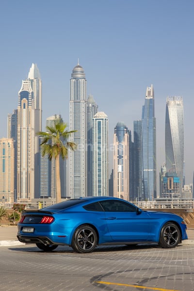 Bleue Ford Mustang en location à Abu-Dhabi 0