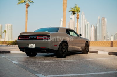 Dunkelgrau Dodge Challenger zur Miete in Dubai 1