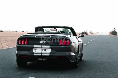 Dark Grey Ford Mustang cabrio V8 for rent in Abu-Dhabi 0