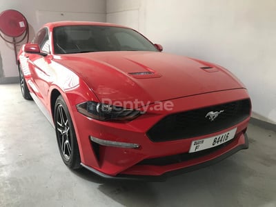 Rot Ford Mustang zur Miete in Sharjah 1