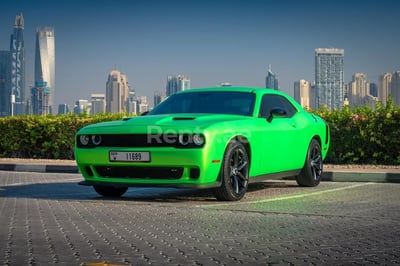 أخضر Dodge Challenger للإيجار في أبو ظبي 1