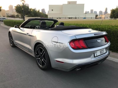 اللون الرمادي Ford Mustang للإيجار في أبو ظبي 1