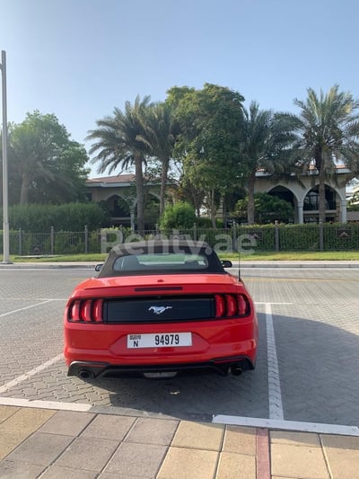 Rosso Ford Mustang cabrio in affitto a Abu-Dhabi 0