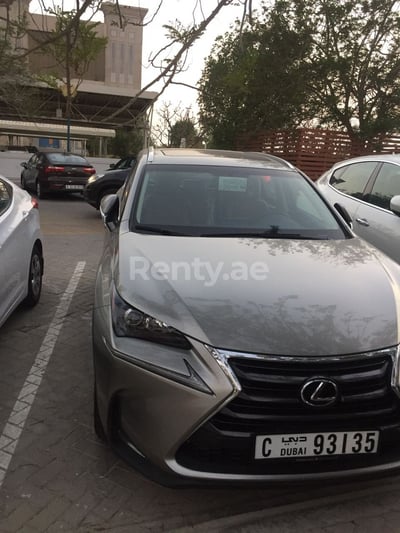 Silber Lexus NX Series zur Miete in Abu-Dhabi 1