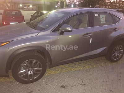 Argento LEXUS  NX 200 in affitto a Abu-Dhabi 0