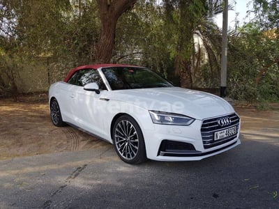 White Audi A5 for rent in Abu-Dhabi 1