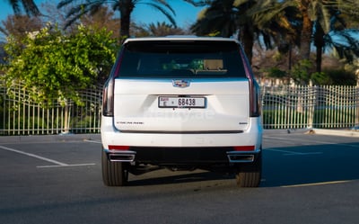 Bianca Cadillac Escalade in affitto a Abu-Dhabi 1