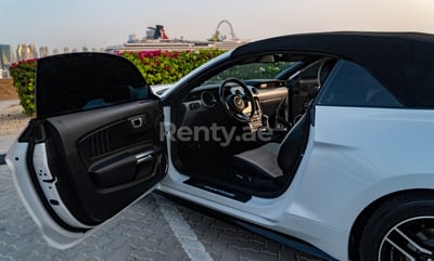 White Ford Mustang Cabrio for rent in Dubai 1