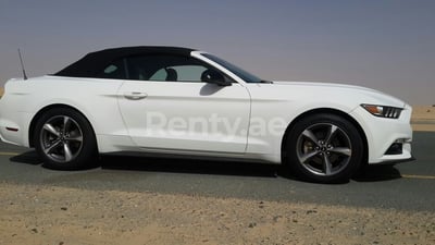 White Ford Mustang Convertible for rent in Sharjah 0