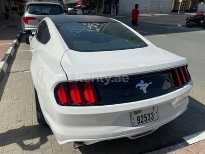 أبيض Ford Mustang Coupe للإيجار في دبي 0