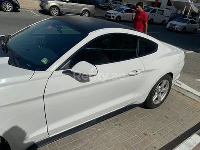 White Ford Mustang Coupe for rent in Sharjah 1