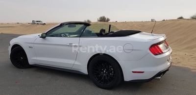 Bianca Ford Mustang GT in affitto a Abu-Dhabi 1