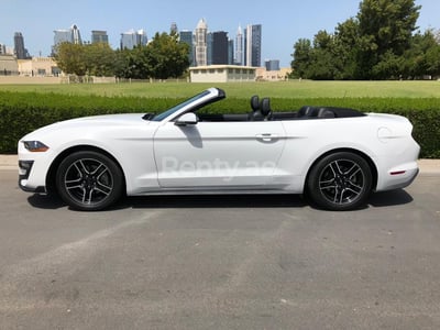 Weiß Ford Mustang zur Miete in Sharjah 0