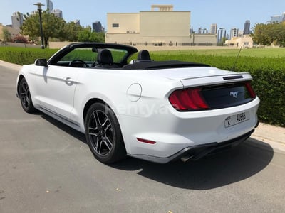 White Ford Mustang for rent in Abu-Dhabi 1