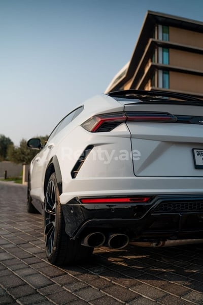 在迪拜租赁白色 Lamborghini Urus 1