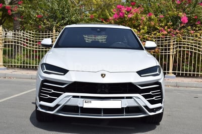 White Lamborghini Urus for rent in Dubai 0