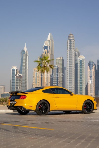 Yellow Ford Mustang for rent in Abu-Dhabi 0