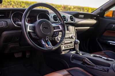 Yellow Ford Mustang for rent in Abu-Dhabi 1