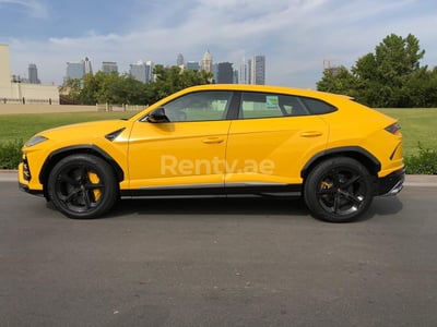 在迪拜租赁黄色 Lamborghini Urus 0