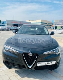 Black Alfa Romeo Stelvio for rent in Dubai 2