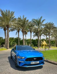 Blue Ford Mustang GT Premium V8 for rent in Dubai 3