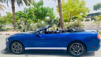 Azul Ford Mustang en alquiler en Dubai 0