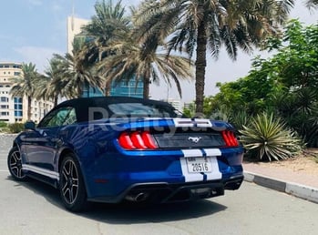 Azul Ford Mustang en alquiler en Dubai 2