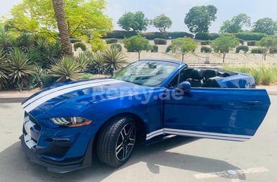 Bleue Ford Mustang en location à Abu-Dhabi 4