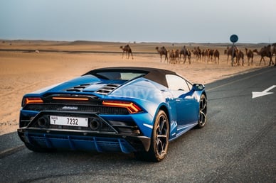 Blue Lamborghini Evo Spyder for rent in Dubai 3