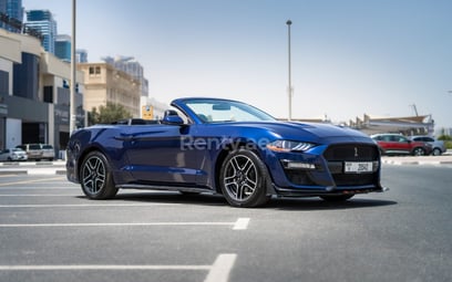 Dark Blue Ford Mustang cabrio for rent in Dubai