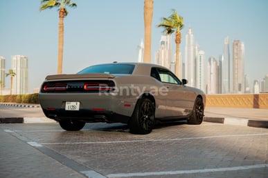 Dark Grey Dodge Challenger for rent in Dubai 1