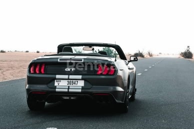 Dark Grey Ford Mustang cabrio V8 for rent in Dubai 0
