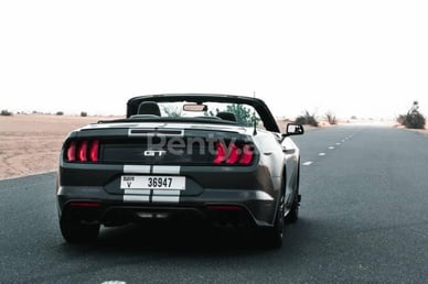 Dark Grey Ford Mustang cabrio V8 for rent in Dubai 0