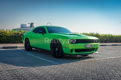 Verte Dodge Challenger en location à Dubai 3