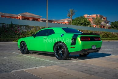 Green Dodge Challenger for rent in Dubai 4