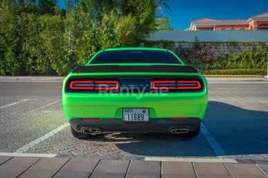 Verde Dodge Challenger en alquiler en Abu-Dhabi 8