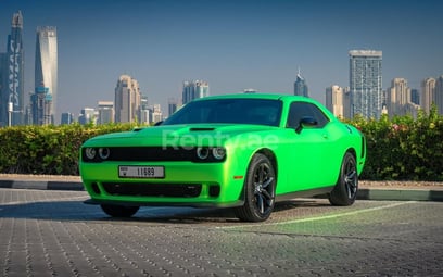 verde Dodge Challenger in affitto a Dubai