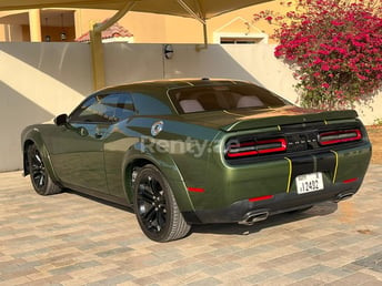 Green Dodge Challenger for rent in Dubai 4