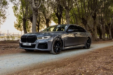 Grau BMW 7 Series zur Miete in Abu-Dhabi 4