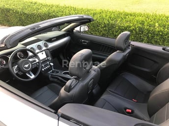 Grey Ford Mustang for rent in Dubai 2