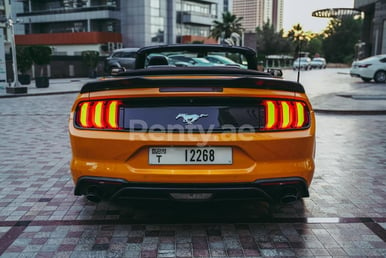 Orange Ford Mustang VT4 en location à Dubai 2