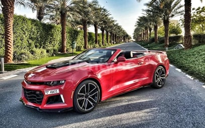 Rouge Chevrolet Camaro en location à Sharjah