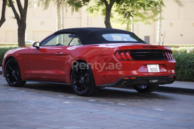 Red Ford Mustang for rent in Dubai 0