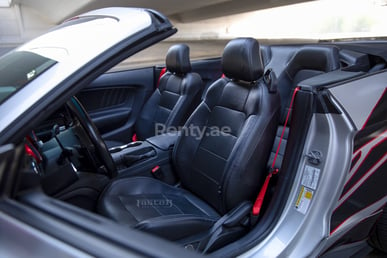 Silber Ford Mustang zur Miete in Abu-Dhabi 1