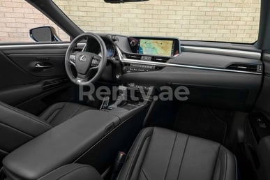 Silver Lexus ES Series for rent in Abu-Dhabi 11