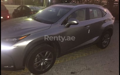 Silver Lexus NX Series for rent in Dubai